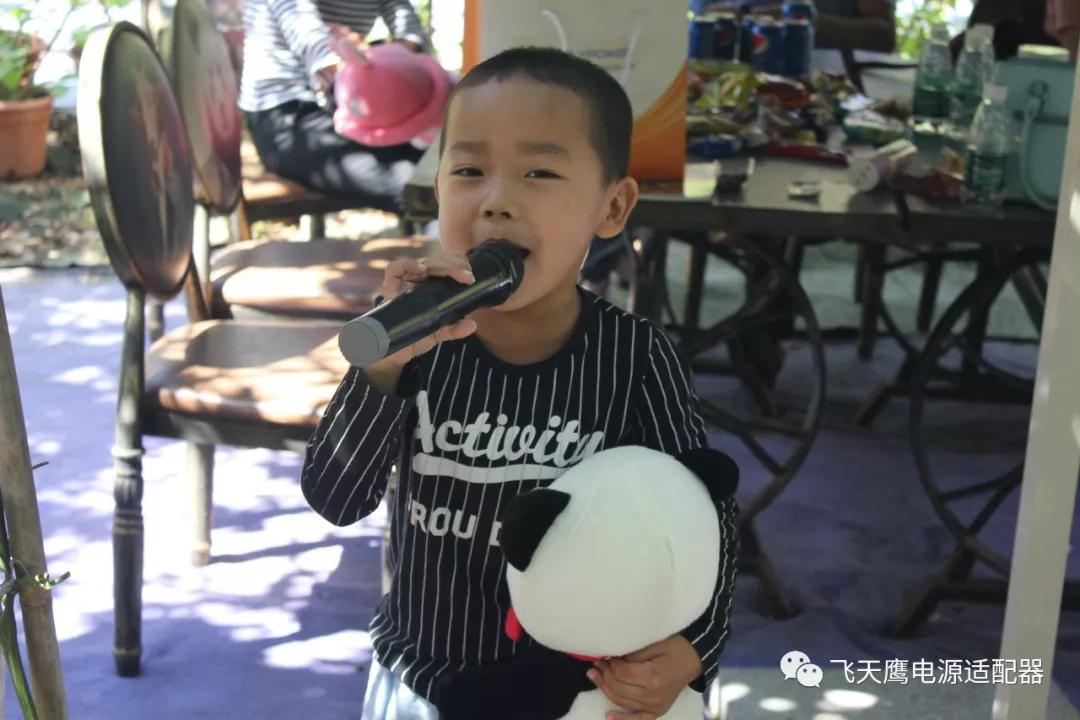 飞天鹰电源适配器厂家