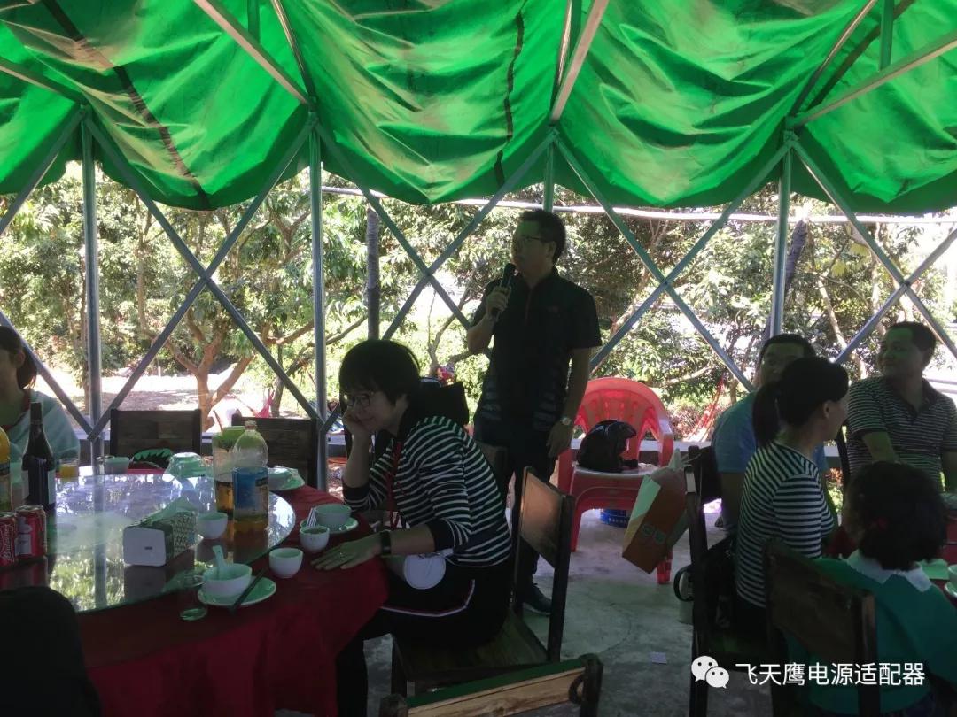 飞天鹰电源适配器厂家