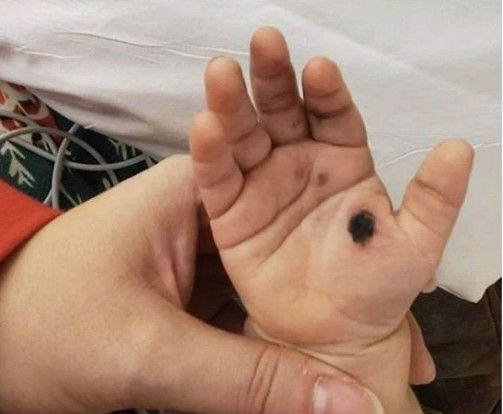 PD电源适配器 PD电源适配器