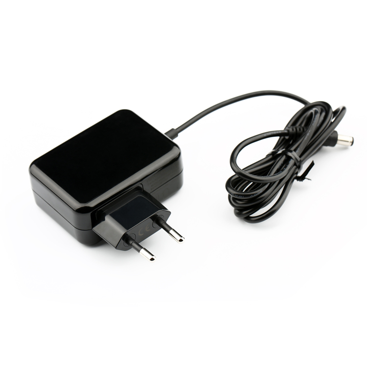 12V2A 24V 1A wall mounted adapter